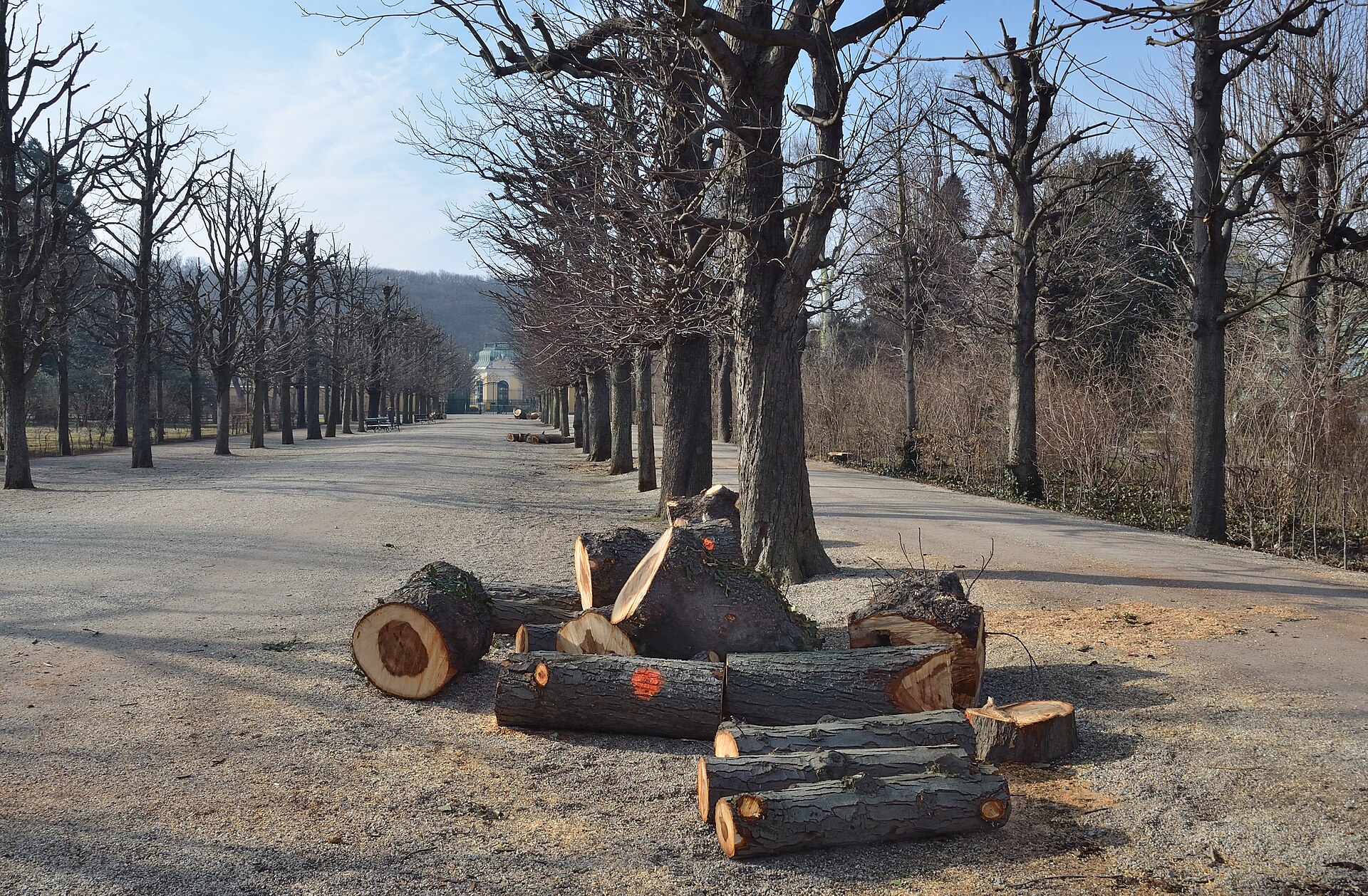 The Gloriette crowns the hilltop above the gardens