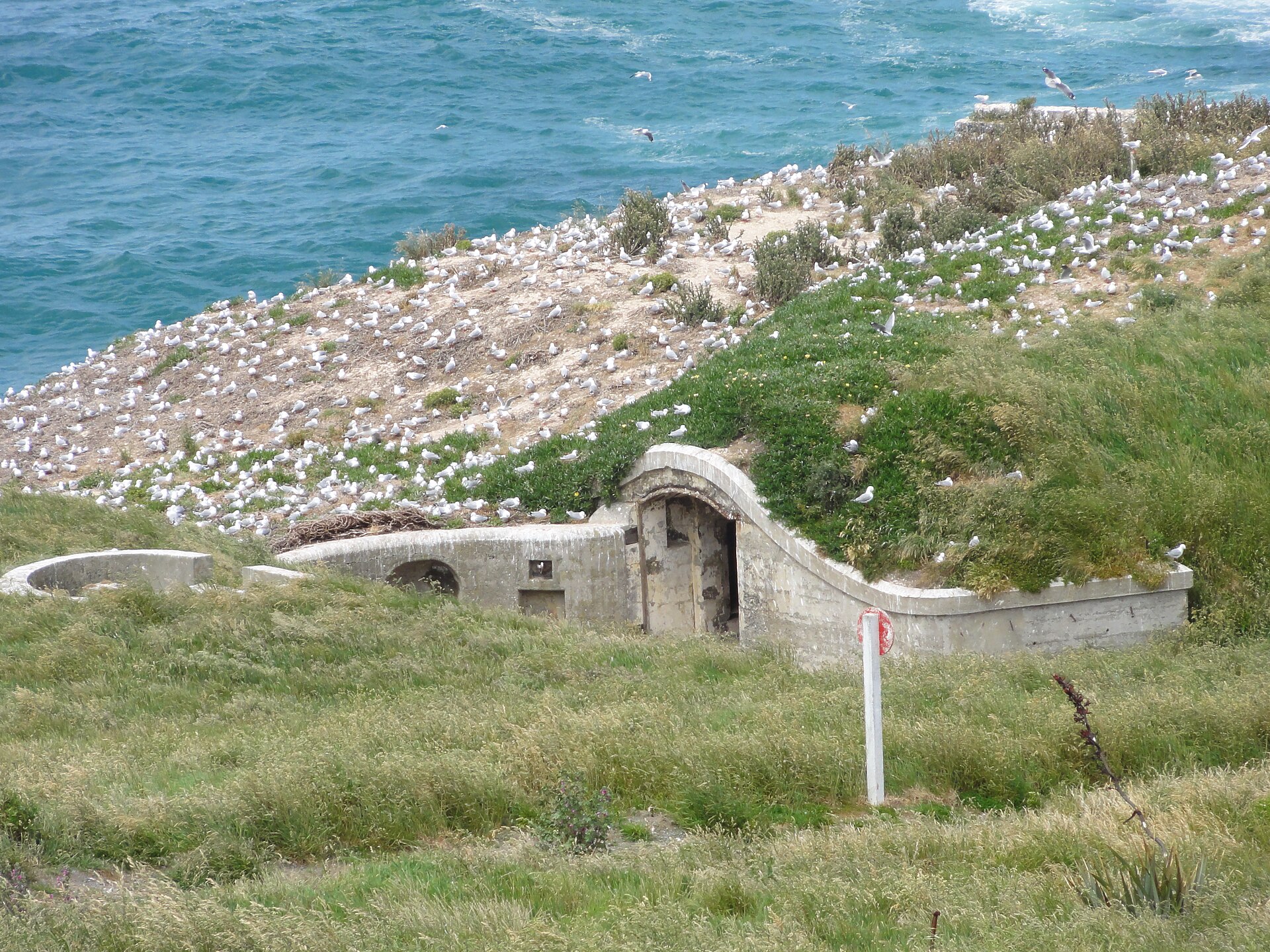 The headland was long a Māori pā site known as Pukekura