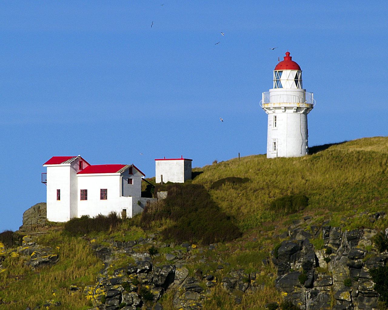 The fort was cut into the rock and earth of the headland