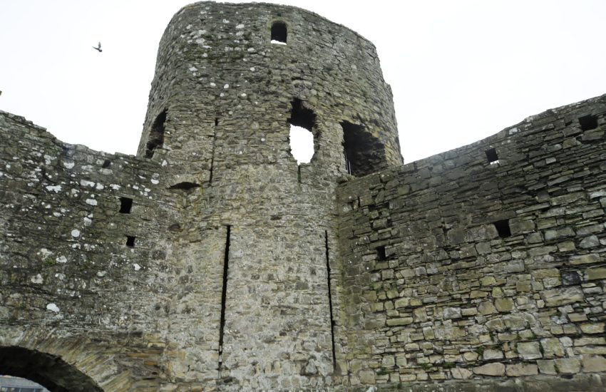 Trim Castle in County Meath, the largest Anglo-Norman castle in Ireland, spread along the River Boyne