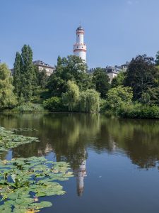 The palace and its park