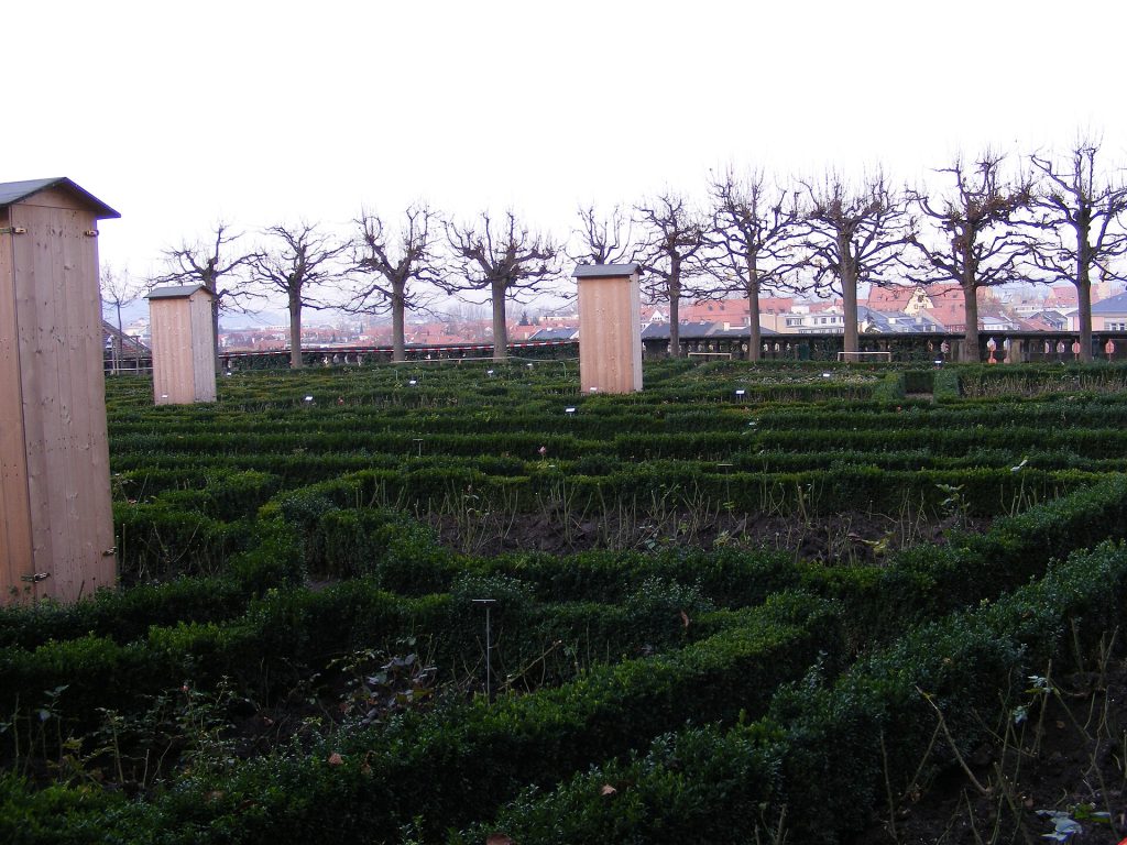 The Rose Garden of the New Residence