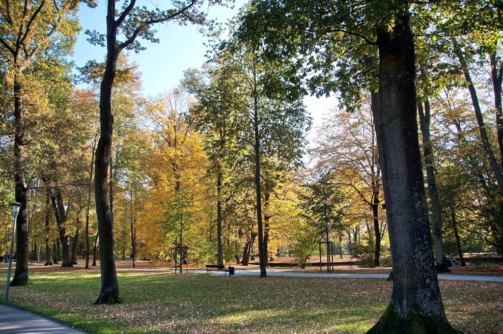 The court garden of Bayreuth