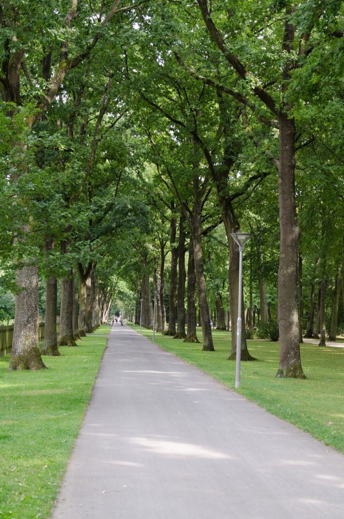 A path in the court garden