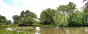 Another panorama of the palace