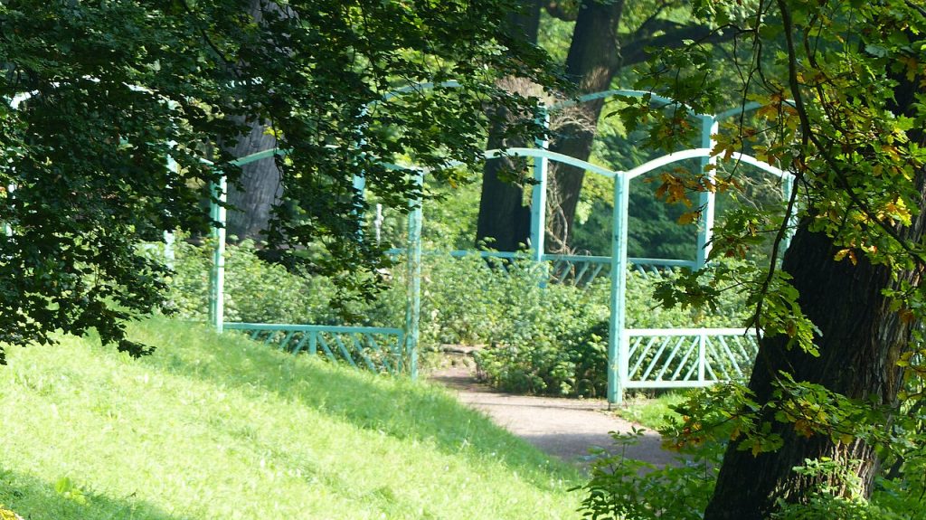 The park in summer