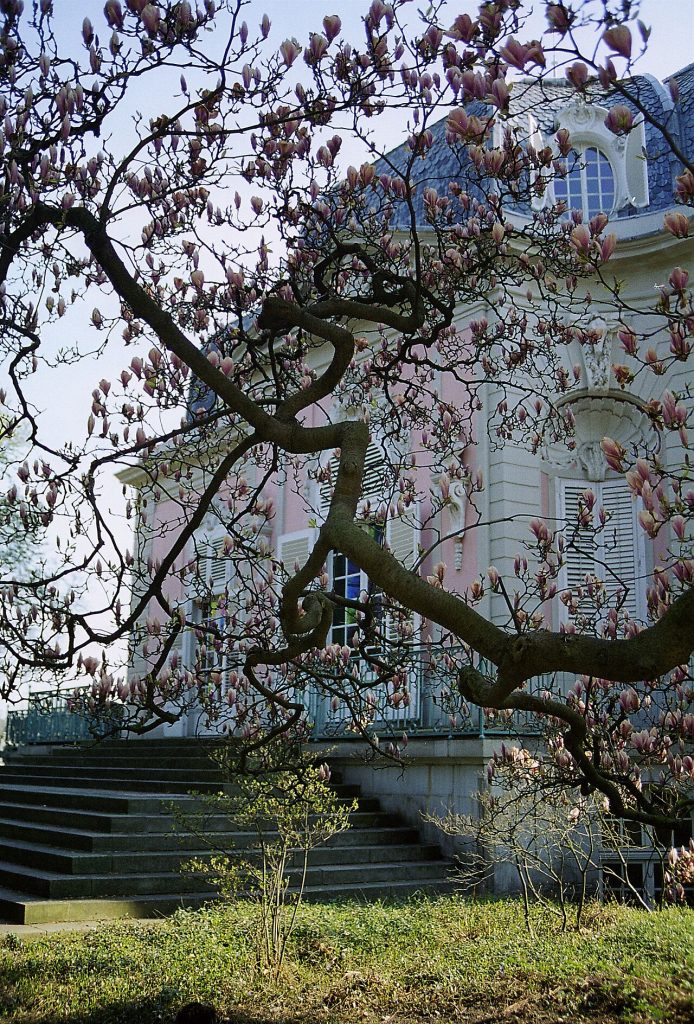 Benrath Palace and the Pink Pleasure House of Elector Carl Theodor