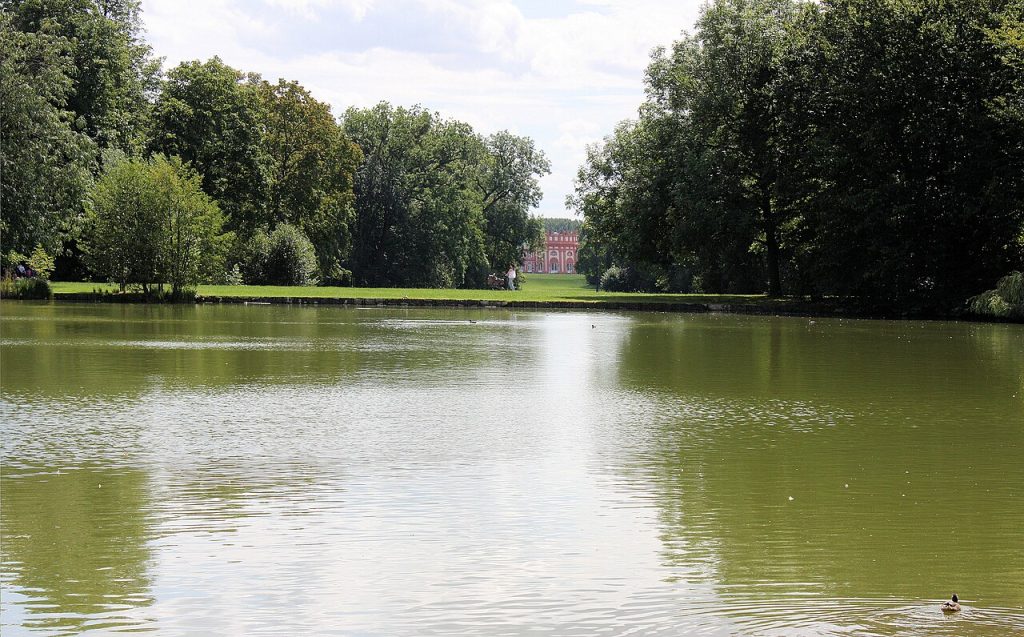 The pond in Biebrich park