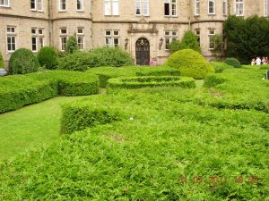 The courtyard facades