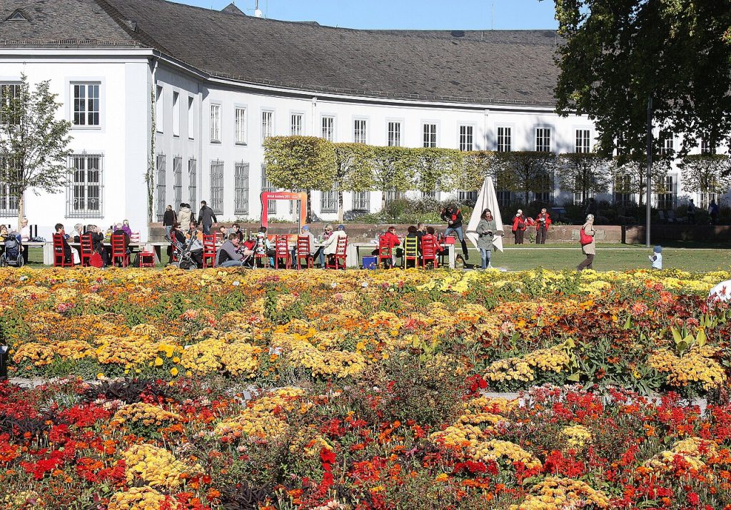 Flower beds in front of the palace