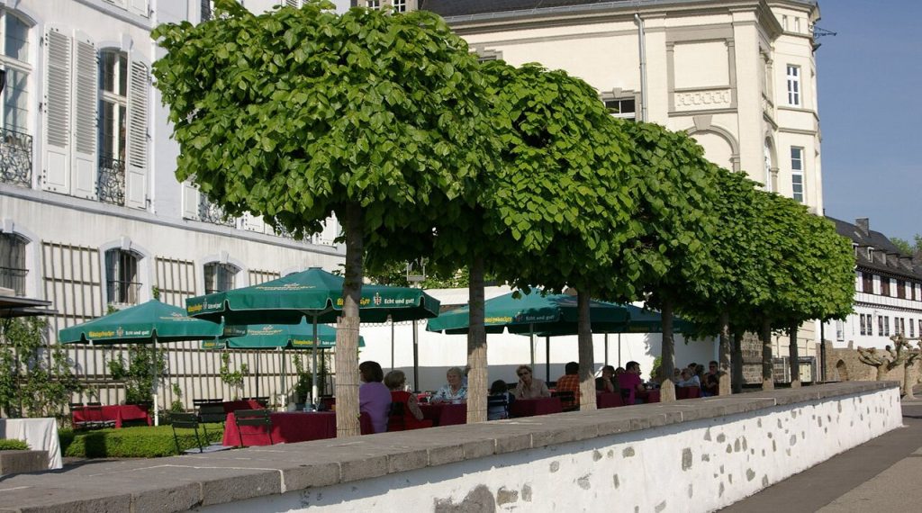 The Rhine terrace