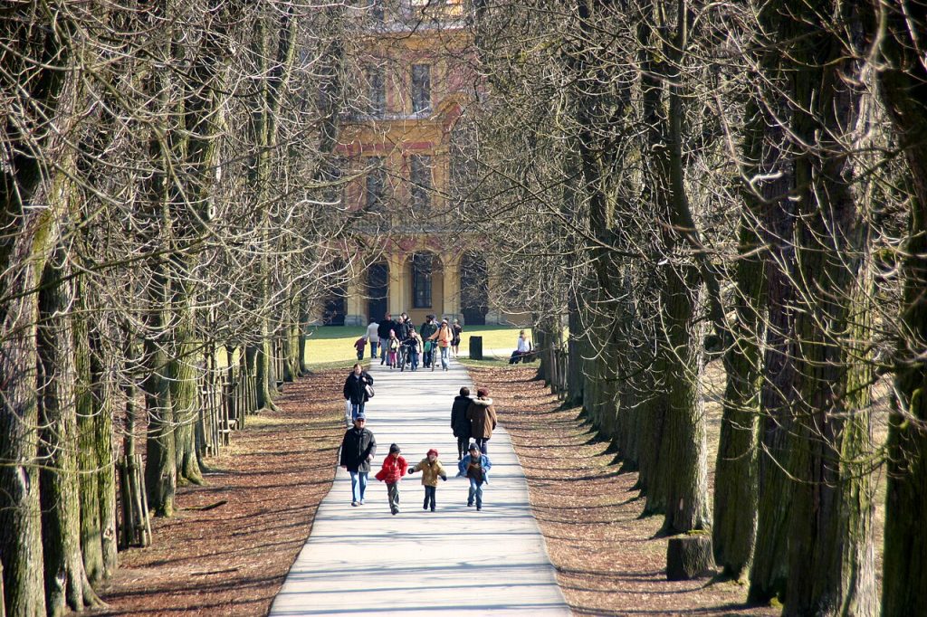 An avenue in the park