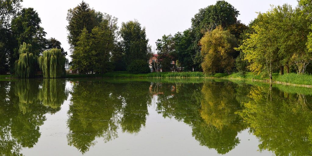 The lake in the palace park