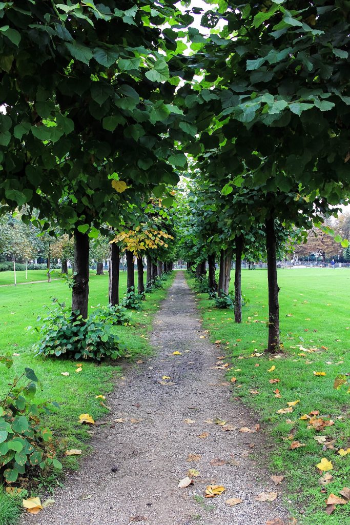 Another view of the garden