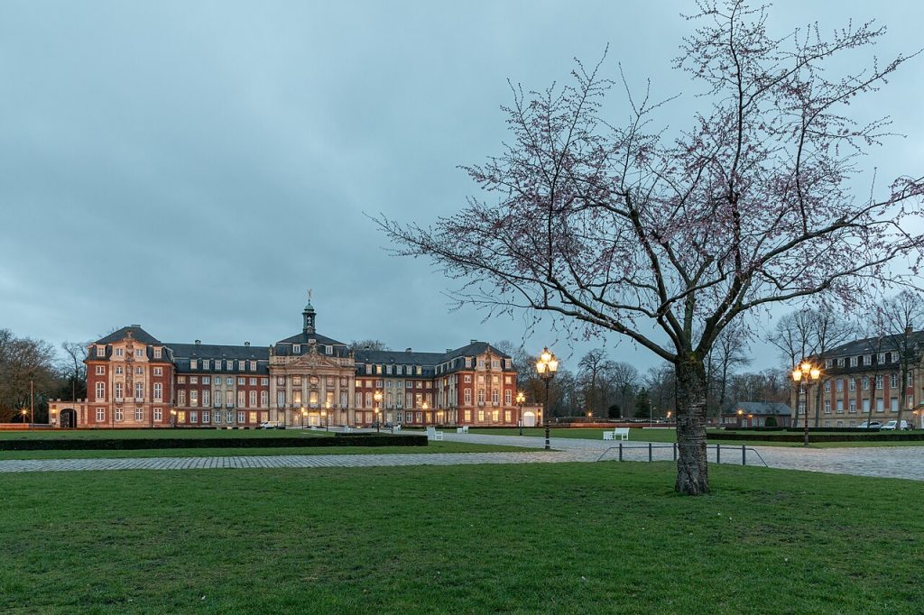 The palace gardens