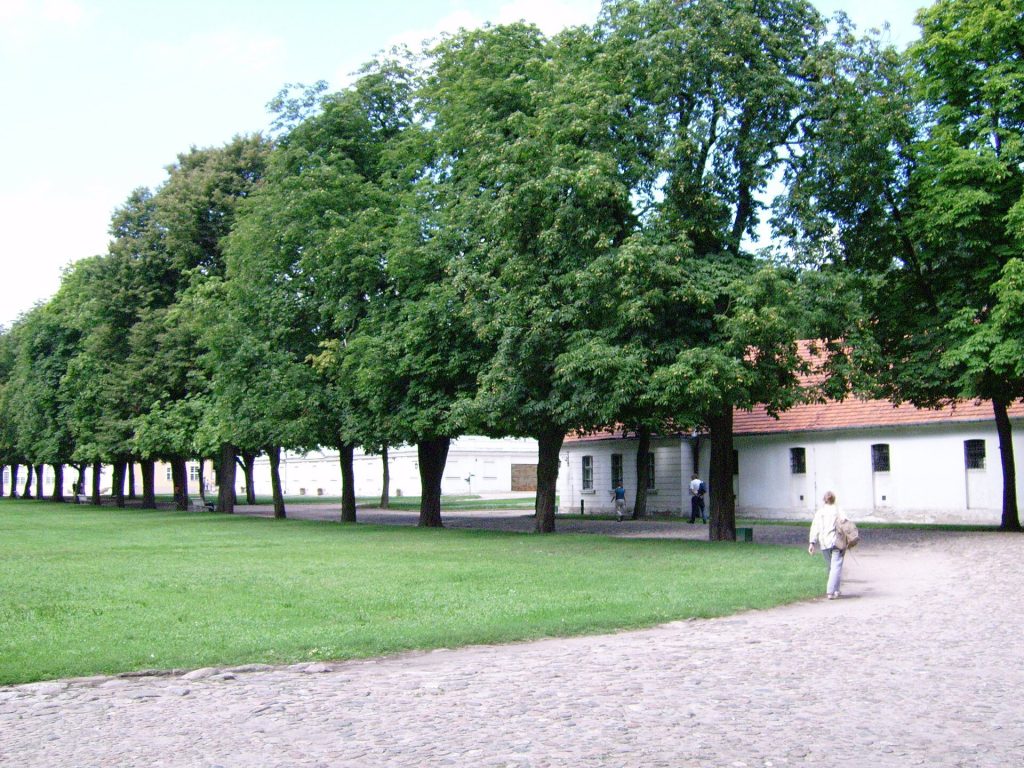 Historic estate buildings at Rogalin
