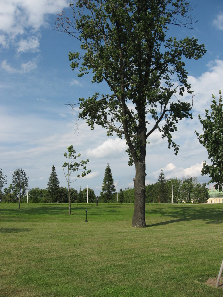 The palace seen across its restored grounds